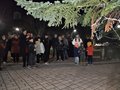 Accensione albero 2025 (12)