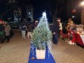 Villaggio di Natale 2025 (60)